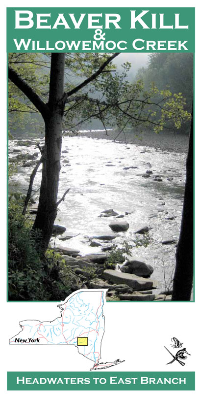 Beaver Kill/Willowemoc Creek 11x17 River Map