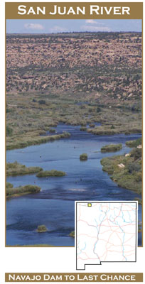 New Mexico