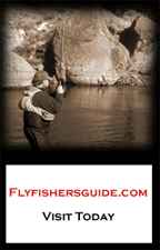 Visit Flyfishersguide.com for your next fishing trip.