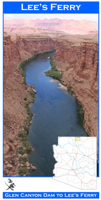 Arizona